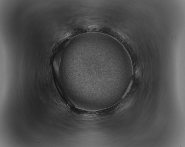 X0000088161156200705221555