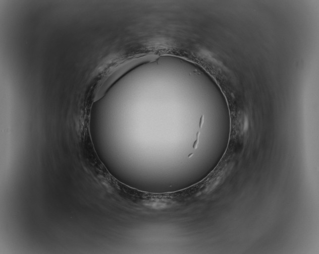 X0000088161157200705221555