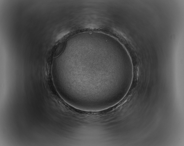 X0000088161158200705221555