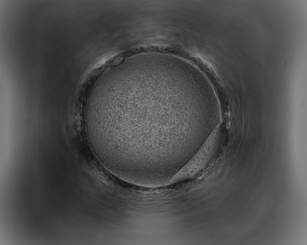 X0000088161159200705221555