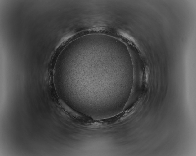 X0000088161160200705221555