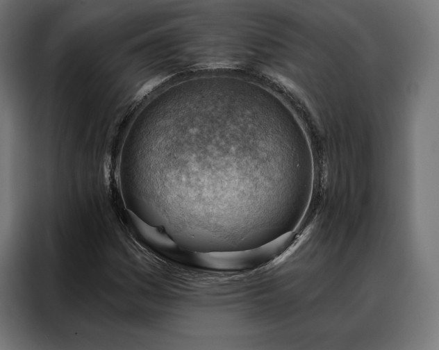 X0000088161161200705221555