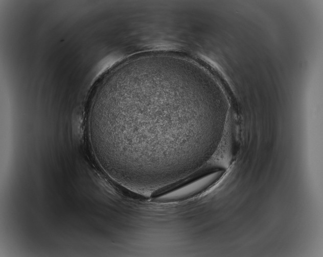 X0000088161163200705221555