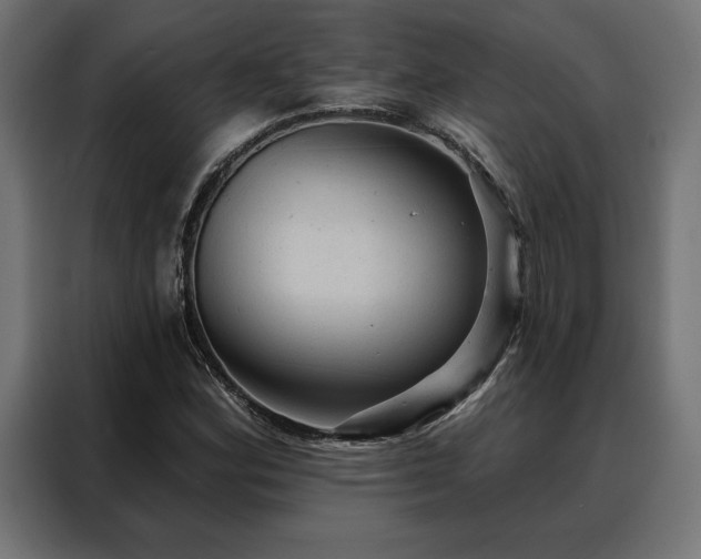 X0000088161164200705221555