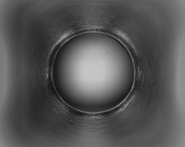 X0000088161165200705221555