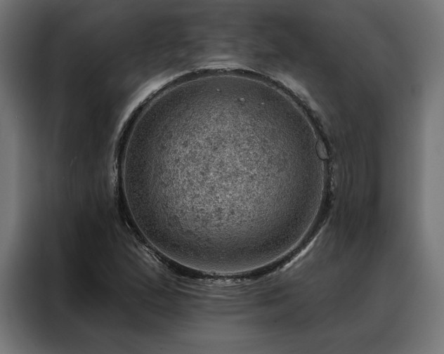 X0000088161167200705221555