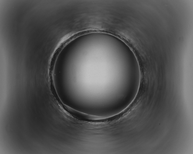 X0000088161168200705221555