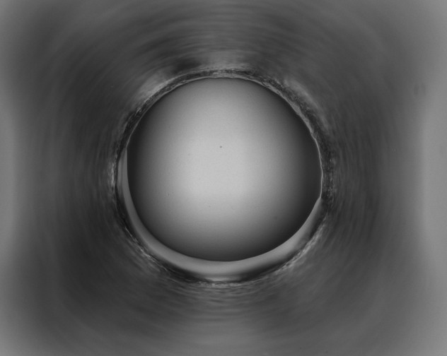 X0000088161169200705221555