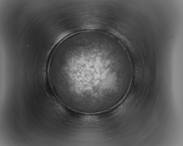 X0000088161170200705221555