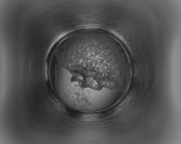 X0000088161171200705221555