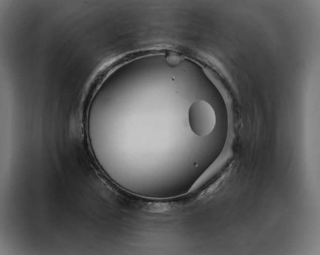 X0000088161172200705221555