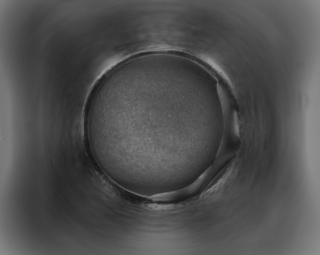 X0000088161173200705221555