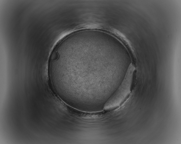 X0000088161174200705221555