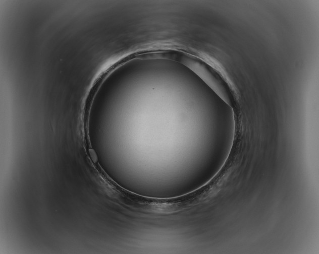 X0000088161176200705221555