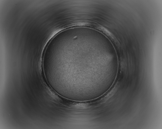 X0000088161178200705221555