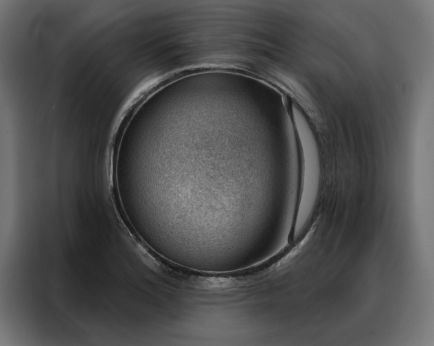 X0000088161180200705221555