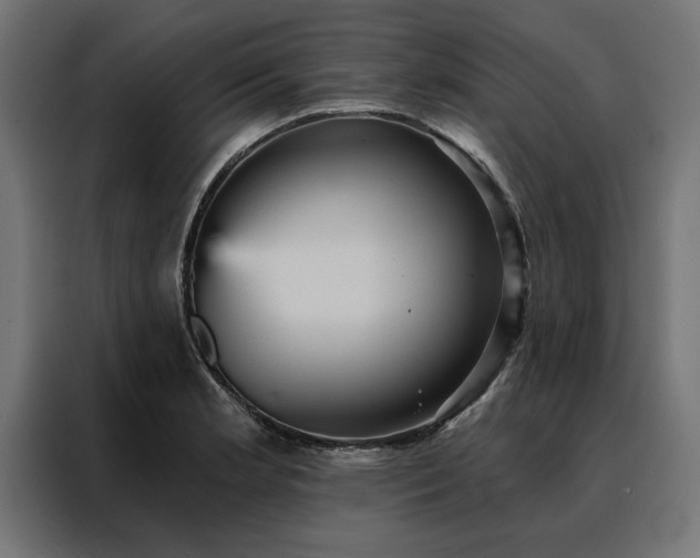 X0000088161181200705221555