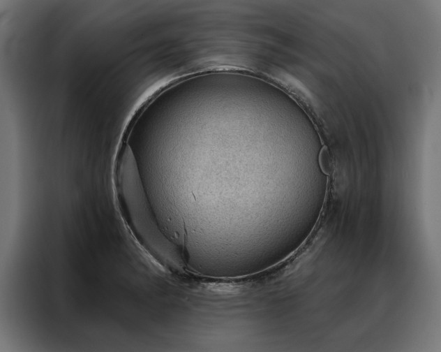 X0000088161182200705221555