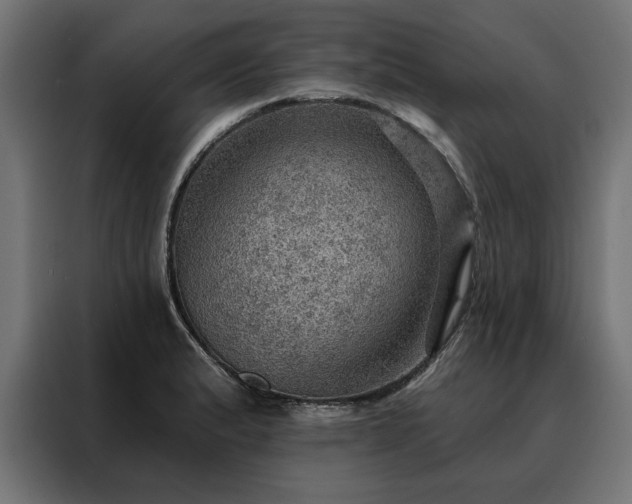 X0000088161183200705221555
