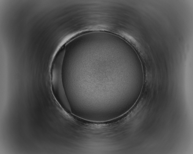 X0000088161184200705221554