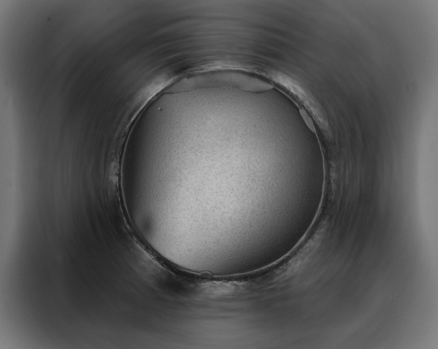 X0000088161185200705221554