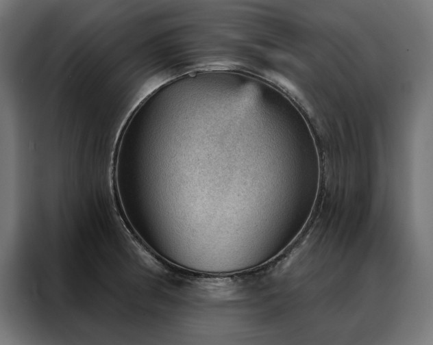 X0000088161186200705221554