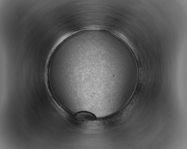 X0000088161187200705221554