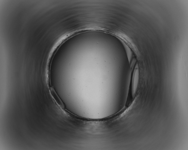 X0000088161188200705221554