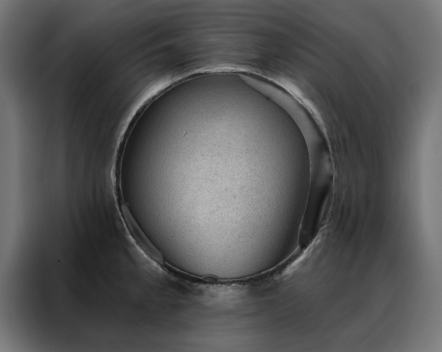 X0000088161189200705221554