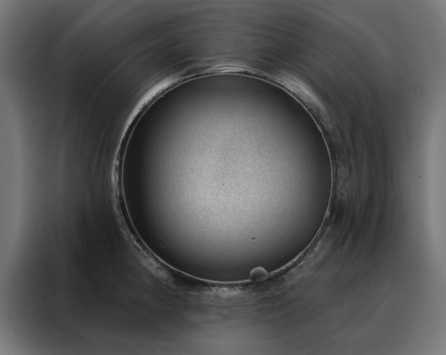 X0000088161190200705221554