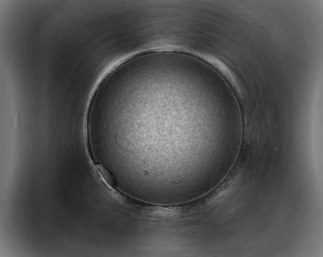 X0000088161191200705221554
