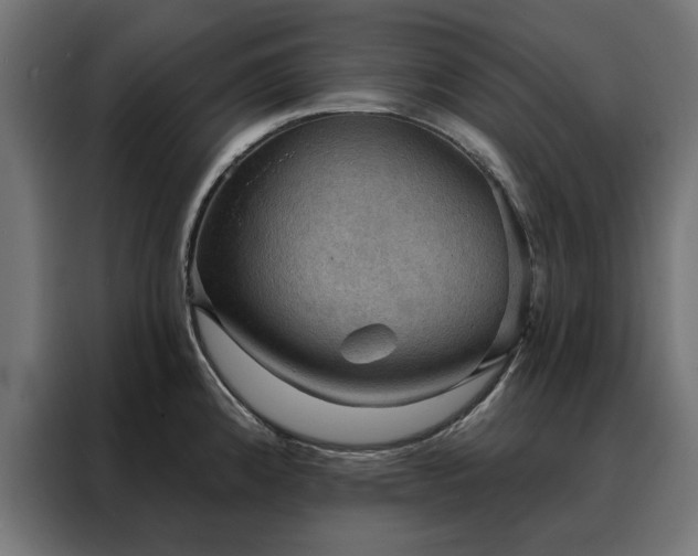 X0000088161192200705221554