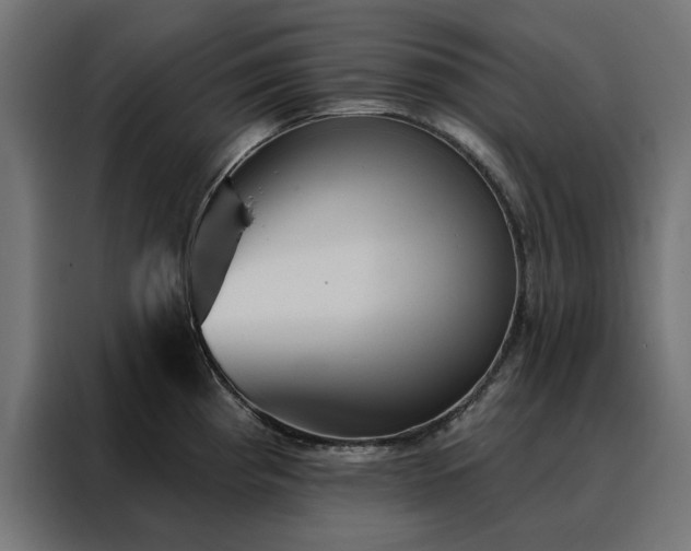 X0000088161193200705221554