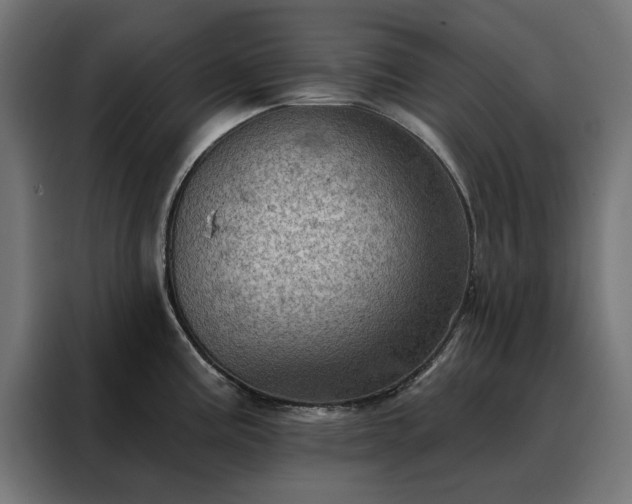 X0000088161195200705221554