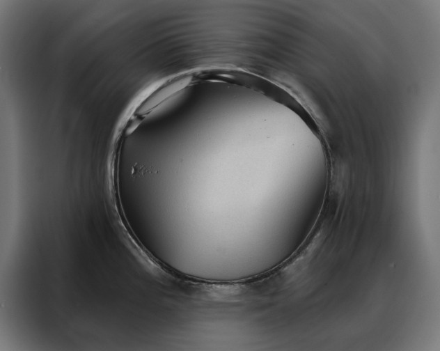X0000088161196200705221554