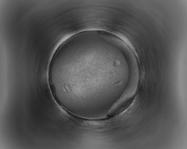 X0000088161197200705221554