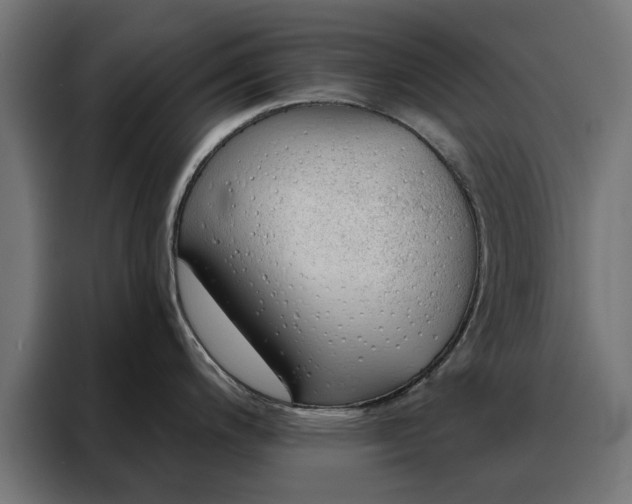X0000088161200200705221554
