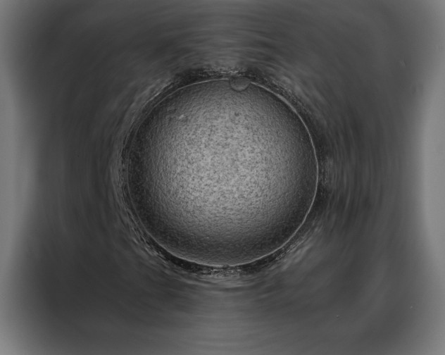 X0000088161201200705221554