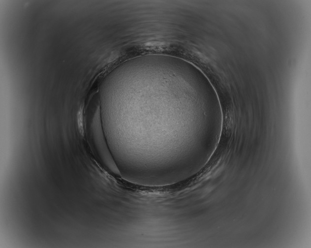 X0000088161202200705221554
