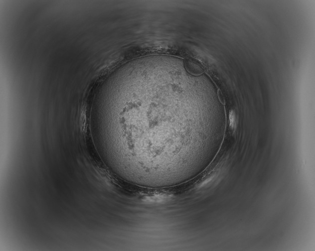 X0000088161203200705221554