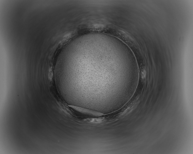 X0000088161204200705221554
