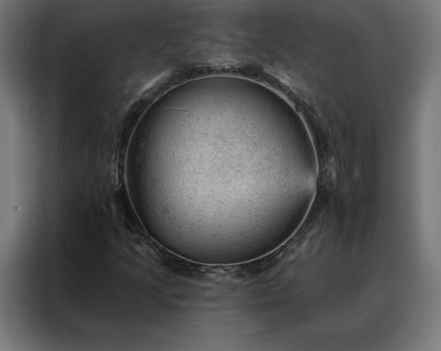 X0000088161205200705221554