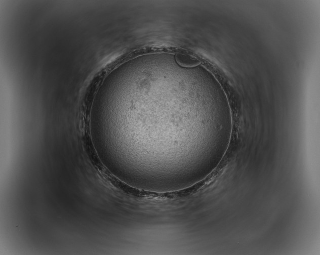 X0000088161207200705221554