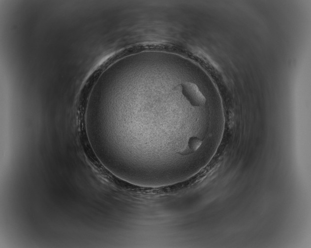 X0000088161208200705221554