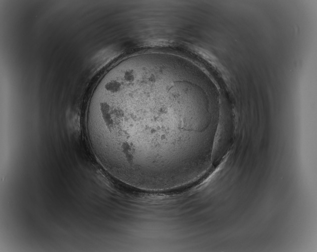 X0000088161209200705221554