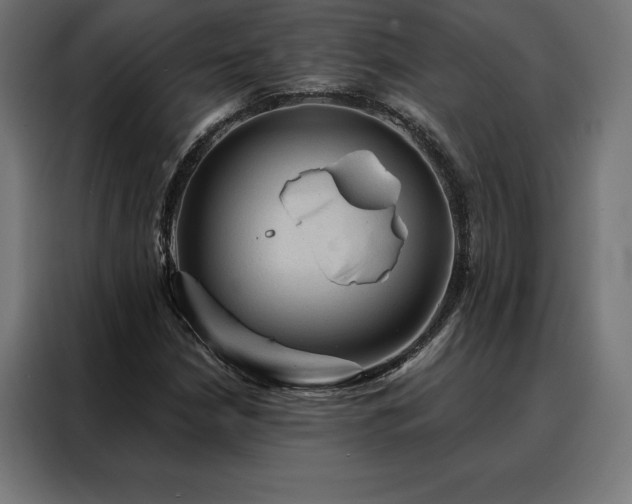 X0000088161210200705221554