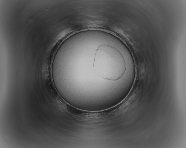 X0000088161211200705221554