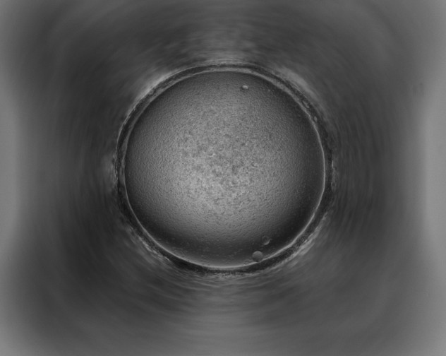 X0000088161212200705221554