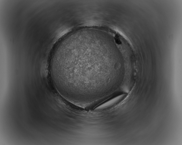X0000088161213200705221554