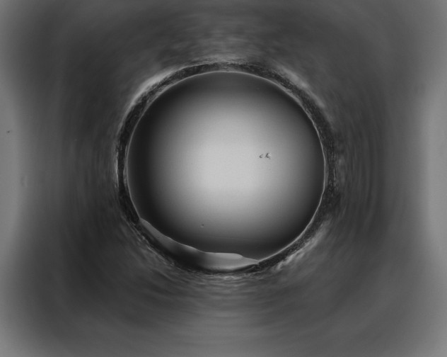 X0000088161214200705221554